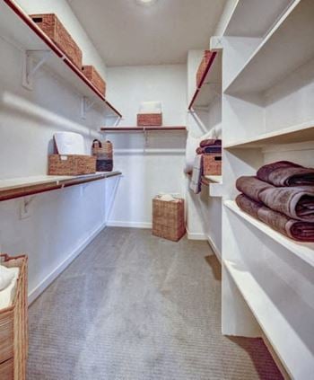 Spacious walk-in closet